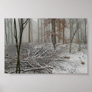 Poster Forêt hivernale neige