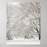 Poster Forêt hivernale neige<br><div class="desc">Design présente une photo d'arbres enneigés dans les bois.</div>
