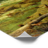 Poster Forêt Ivan Chichkin (Coin)