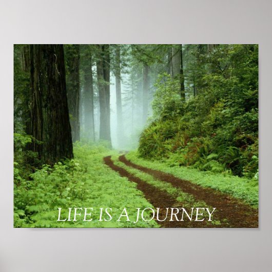 Poster Forêt, LA VIE EST UN VOYAGE (Devant)