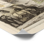 Poster Forêt, limites des districts (Coin)