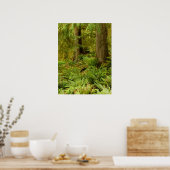 Poster Forêt luxuriante et fougères | Ecola State Park, O (Cuisine)