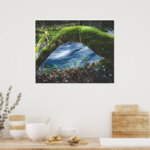 Poster Forêt magique enchantée (Cuisine)