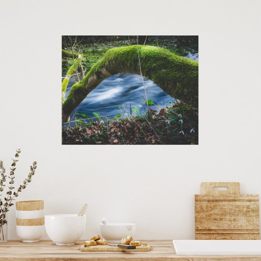 Poster Forêt magique enchantée (Cuisine)