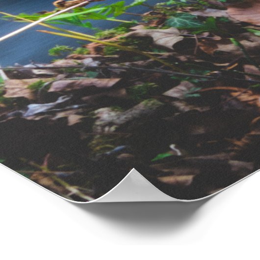 Poster Forêt magique enchantée (Coin)