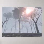 Poster Forêt Morte Dans Le Brouillard (Devant)