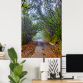 Poster Forêt moussue (Bureau à domicile)
