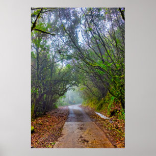 Poster Forêt moussue