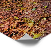 Poster Forêt moussue (Coin)