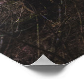 Poster Forêt mystérieuse d'épinette (Coin)