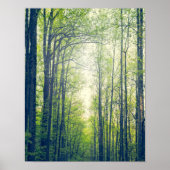 Poster Forêt mystique (Devant)