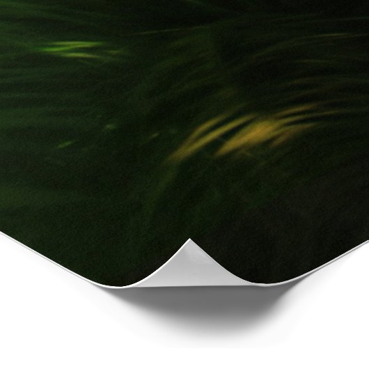 Poster Forêt mystique (Coin)