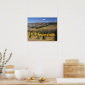 Poster Forêt nationale de Bridger-Teton (Cuisine)