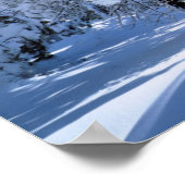 Poster Forêt nationale de Cleveland (Coin)