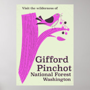 Poster Forêt nationale de Gifford Pinchot Washington