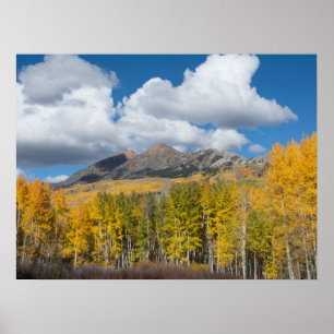 Poster Forêt nationale de Gunnison, Colorado