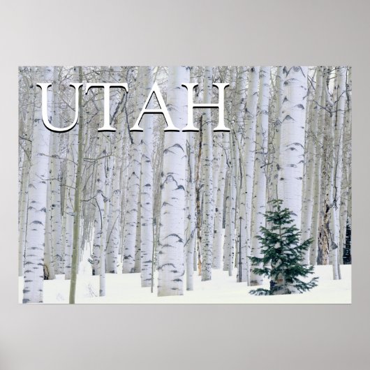 Poster Forêt nationale de Manti-LaSal, Utah (Devant)