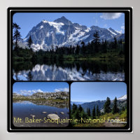 Forêt nationale de Mt. Baker-Snoqualmie Collage