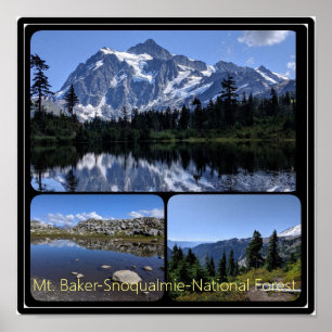 Poster Forêt nationale de Mt. Baker-Snoqualmie Collage