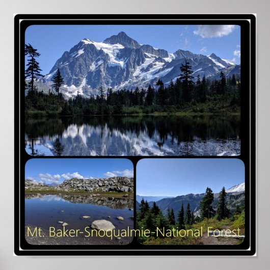Poster Forêt nationale de Mt. Baker-Snoqualmie Collage (Devant)