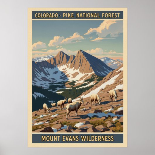 Poster Forêt nationale de Pike - Wilderness de Mount Evan (Devant)