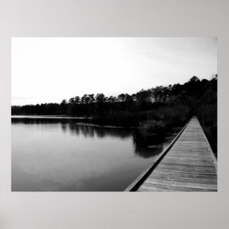 Poster Forêt nationale de Tombigbee