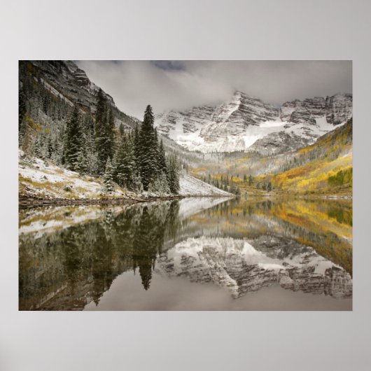 Poster Forêt nationale de White River Colorado (Devant)