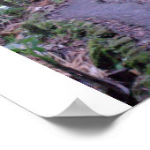 Poster Forêt nationale d'El Yunque (Coin)