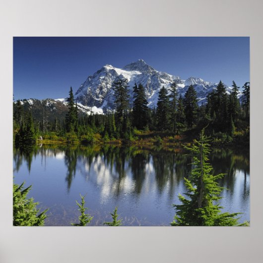 Poster Forêt nationale du Mont Baker-Snoqualmie (Devant)