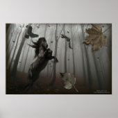 Poster Forêt Noire (Devant)