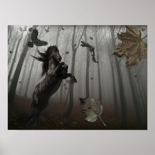 Poster Forêt Noire (Devant)