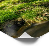 Poster Forêt-Noire Grist Mill Allemagne (Coin)