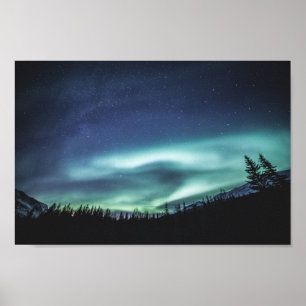 Poster Forêt Northern Lights
