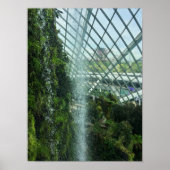 Poster Forêt nuageuse de Singapour, cascade, botanique (Devant)