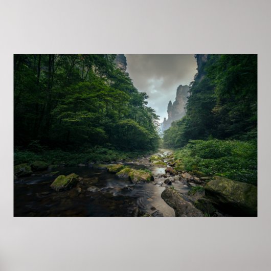 Poster Forêt | Parc forestier national de Zhangjiajie (Devant)