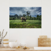 Poster Forêt | Parc national de Kao Sok (Cuisine)