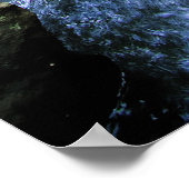 Poster Forêt pluviale australienne (Coin)