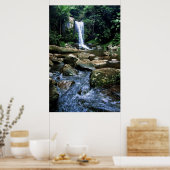 Poster Forêt pluviale australienne (Cuisine)