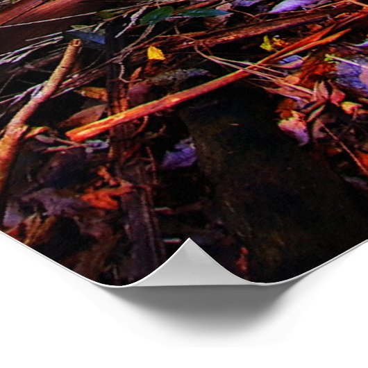 Poster Forêt pluviale australienne (Coin)