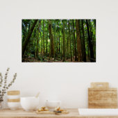 Poster Forêt pluviale australienne (Cuisine)