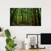 Poster Forêt pluviale australienne (Bureau à domicile)