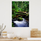 Poster Forêt pluviale australienne (Cuisine)