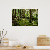 Poster Forêt pluviale de la péninsule Olympique (Cuisine)