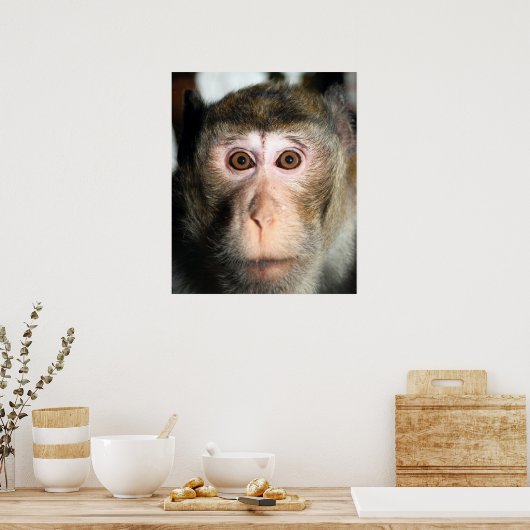 Poster Forêt pluviale en voie de disparition (Cuisine)