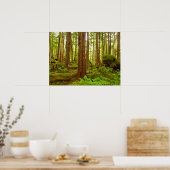 Poster Forêt pluviale tempérée d'Alaska (Cuisine)