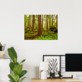 Poster Forêt pluviale tempérée d'Alaska (Bureau à domicile)