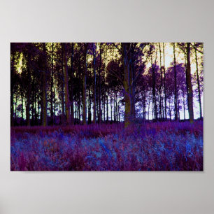Poster Forêt pourpre