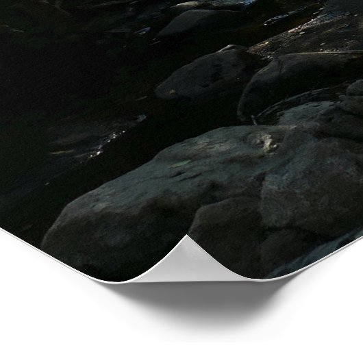 Poster Forêt près de Hunters Beach (Coin)