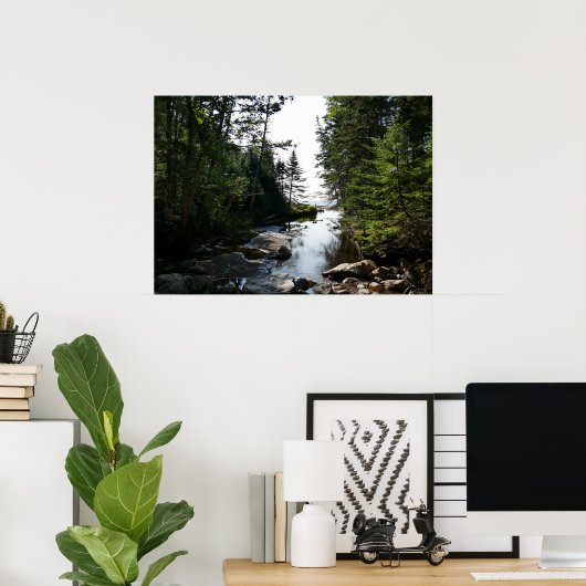 Poster Forêt près de Hunters Beach (Bureau à domicile)