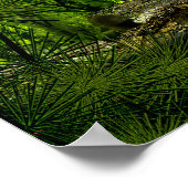 Poster forêt profonde de carbo 2 (Coin)